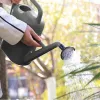 Cans 5L Long Spout Watering Pot Plants Watering Can Garden Flower Potted Kettle Irrigation Sprinkler Pot Plants Flowers Watering Tool