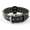 2 inch Wide Genuine Leather Studded Dog Collars for Medium Large X-Large Pitbull Dogs with Cool Spikes319s