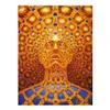 Trippy Alex Grey schilderij Poster Print Home Decor ingelijst of ingelijste Popaper Material267R