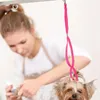 Dog Collars Pet Grooming Ring Bathing Loop Helper Rope Noose Leash Strap Table Accessory