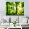 Caligrafía moderna HD imágenes impresas sala de estar lienzo sol verde bosque paisaje pintura árboles modulares cartel arte de la pared decoración del hogar