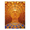Trippy Alex Grey Painting Poster Print Home Decor Framed Or Unframed Popaper Material195q