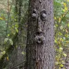 Sculptures drôle de visage d'arbre de vieil homme, art de jardin, arbre extérieur amusant, sculpture de visage de vieil homme, décoration de jardin fantaisiste pour Halloween