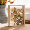 Frame Acrylic Shadow Box Frames Natural Wood Frame Bouquet Display Flower Case Deep for Crafts 3D Picture Memorabilia Memory Frame