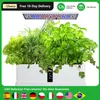 Water Pump Smart Hydroponics Growing System Indoor Garden Kit 9 Pods Automatic Timing with Height Adjustable 15W LED Grow Lights 240309