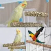 Zitstokken 6 Stuks Papegaaien Baars Vogelstandaard Speelgoed Houten Standaard Houten Training Staande Set voor Kleine en Middelgrote Vogelkooi Accessoires