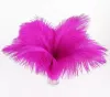 10-12 pouces 25-30 cm multicolore belles plumes d'autruche pour pièce maîtresse de mariage centres de table décoration de fête fourniture livraison gratuite LL