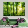 Caligrafía moderna HD imágenes impresas sala de estar lienzo sol verde bosque paisaje pintura árboles modulares cartel arte de la pared decoración del hogar