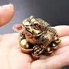 Feng Shui Toad Money Lucky Fortune Wealth Golden Golden Frog Toad Coin Home Office Decoration Tabletop الحلي المحظوظة 286s