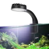 Verlichting Klein aquarium Minilicht Led-clip voor planten Aquatisch zoetwaterwater Gras Hoge helderheid Lage temperatuur USB-aquariumlampen