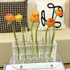 花瓶の列の列試験管の花瓶の風力高値ガラスネットレッド装飾品花水耕栽培の組み合わせ装飾