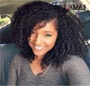 Lady Girl Short Kinky Curly Wigs Indian Brasilian Hair Simulation Human Hair Short Curly Wigs In Stock8396385