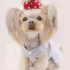 Cão de estimação roupas vestido princesa saia teddy filhote de cachorro vestidos de casamento fot cão pequeno médio cães bonito moda saia acessórios para animais de estimação y200182v