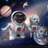 MPKペット犬の宇宙飛行士スーツ宇宙飛行士スタンドアップハロウィーンの服の面白いコスチュームも猫に適しています（A6081）