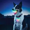 Toys Luminous Pet Dog Bite Ball Toys LED Night Glowing Puppy Toys Dog Chewing Ball Colorful Transformation Dog Balls Dog Supplies