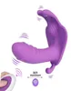 Sexspielzeug-Massagegerät mit drahtloser Fernbedienung, Höschenvibrator mit Klitoris-Stimulator für Frauen, G-Punkt-Spielzeug, vibrierendes Höschen6668040
