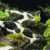 Dekorationer 1st Natural Aquarium Decor Lava Stone Rockery Landscaping Fish Tank Microporous Volcanic Stone Porous Good For Plants Growth