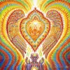 poster 32x24 17x13 Trippy Alex Grey Wall Poster Print Home Decor Wall Stickers poster Decal--052296y