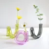 Vaser vridna formade glasvas Hydroponics Plant Vase Candle Holder Crafts Dekor för hem vardagsrum glas ljusstakar växtblomma