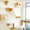 Scratchers Étagères d'escalade murales en bois pour chat Hamac avec échelle et plate-forme de saut en corde de sisal pour se percher et jouer