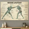 Calligraphy Vintage Boxing Body Anatomy Posters and Prints Wall Art Canvas Painting Boxing Lover Gift for Gym Room Cuadros Home Decoration