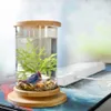 1 pz Vetro Betta Fish Tank Base di bambù Mini Fish Tank Decorazione Accessori Ruota Decorazione Fish Bowl Accessori acquario Y200220Y