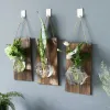Vases Wall Hanging Propagation Station Wooden Base Wall Planters Hydroponics Flower Vase Garden Decor with Glow In The Dark Pebbles