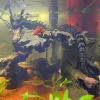 Decorações 3d dobrável dragão chinês aquário tanque de peixes lanscape bonsai ornamento decoração acessórios pet peixe fada jardim decoração casa