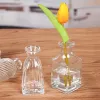 VASES植物のためのミニ透明なガラス花瓶のシンプルなガラスの花の花瓶