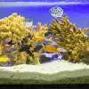 Decorações de cerâmica bola flutuante criatura aquática adornos do tanque de peixes decorações estátuas de aquário pequenas plantas