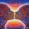 Плакат 32x24 17x13 Trippy Alex Grey, настенный плакат с принтом, домашний декор, наклейки на стену, наклейка--006271L