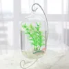 15cm suspendu Transparent suspendu verre réservoir de poisson bouteille d'infusion Aquarium fleur plante Vase pour la décoration de la maison Aquariums309s