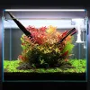 Belysningar 1872 cm Aquarium LED Light Super Slim Fish Tank Aquatic Plant Grow Lighting Watertight Light Clip Lamp för växter EU US Plug