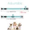 Collari Collare per gatti Ricarica USB Led Sicurezza per animali domestici Cane luminoso Collare illuminato Collana in nylon Guinzagli luminosi per cani di piccola taglia Sicurezza notturna