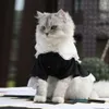 Costumi per gatti Vestito da cameriera per gatti primavera ed estate uniforme trasformata in vestiti per gatti gonna per animali forniture per vestiti per cani 220908232m
