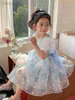 Girl's Dresses Kids Dress Party Fancy Princess Party Holiday for 1-10Ys Baby Floral Outfit ldd240313