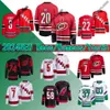 Carolina Andrei Svechnikov Hurricanes 2023 Stadyum Serisi Jersey Brent Burns Jake Guentzel Jalen Chatfield Sebastian Aho Seth Jarvis Jaccob Slavin Martin Necas