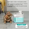 Leveranser Smart Cat Water Fountain 2.2L Mute Cat Waters Dispenser PET USB Automatiska dricksmatare med filterrenare för katttillbehör