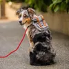 Klassisk hund ryggsäcksele vest brittisk stil justerbar utomhusväska säkerhet fordon bly husdjur valp promenad säte täcker3009