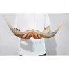 Decorative Figurines Gorgeous Pair Of Genuine Ox Horns Beautifully Hand-Crafted And Polished For Displaying In Your Home