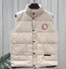 Erkek Kış Yelek Açık Dış Mekan Klasik Sıradan Sıcaklık Beyaz Gotoz Gilet Ceket Moda Vese ve 7 Renk Artı Boyut M-2XL