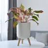 Plantadores autowatering vaso de flores vaso de chão planta suporte vaso de flores exibição vaso rack decoração rústica vaso de plantas suprimentos de jardim