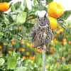 Skulpturer Bird Control Owl Decor 1pc 30x17.5cm Akryl Fake Owl Staty for Home Garden Decor Scarecrow Dålig hög kvalitet