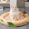 Mats katt sovande säng rund form sommar kylbädd bärbara mjuka hållbara husdjur bo husdjur kylande mat hamaca para perro