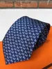 Neckband Business Designer Tie Herr Mens Silk Slitte Högkvalitativ Cravatta Uomo Male Business Slips Brev broderad Kratte med Box Luxury Neck Ties L240313