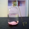 15cm suspendu Transparent suspendu verre réservoir de poisson bouteille d'infusion Aquarium fleur plante Vase pour la décoration de la maison Aquariums309s