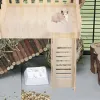 Cages échelle Hamster Cage fourniture guinée plate-forme jouet en bois escalade résistant aux morsures