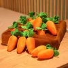 Toys Carrot Farm Dog Toy Plush Dog Carrot Chewing Toy Puppy Dog Cat Training Toy Dog Promote Natural Foraging for Pet Educational Toy