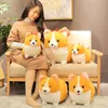 384560cm Kawaii Cute Corgi Stuffed Plush Toys For Children Soft Corgi Plush Doll Pillow Children Girls Kids Birthday Gift 240308