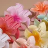 Clip per artigli per fiori di Plumeria alla moda per donne e ragazze Morsetti per capelli con artigli per capelli dolci Fascia per capelli a granchio Accessori per capelli invernali